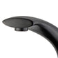 Bilbao Single Handle Bathroom Vanity Faucet in Black Finish with Overflow