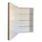 Rectangular Metal Frame Medicine Cabinet in Brushed Gold