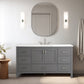 Vanea 60″ Single Bathroom Vanity in Gray with White Quartz Top