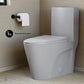 St. Tropez One-Piece Elongated Toilet Vortex Dual-Flush 1.1/1.6 gpf Matte Grey